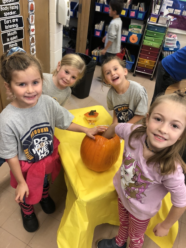 Such a fun filled learning Pumpkin Day in first grade!